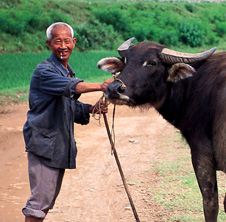 小型飼料顆粒機(jī),農(nóng)民圓夢！